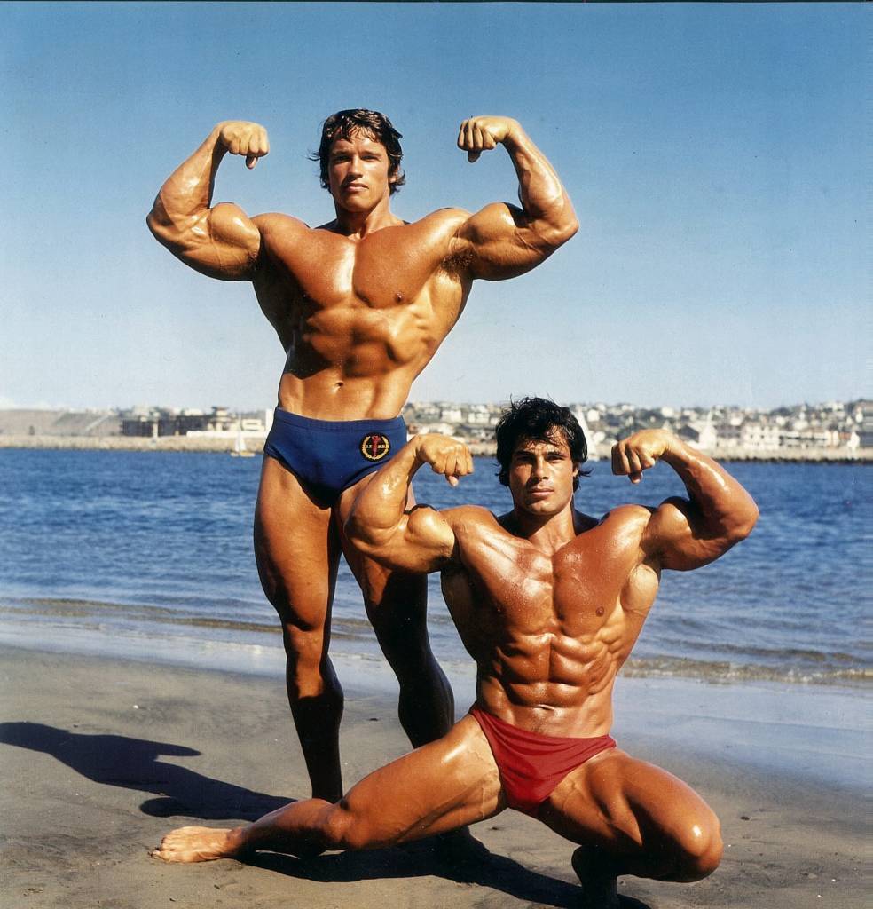 A photo of Arnold Schwarzenegger and Franco Columbu posing on the beach.